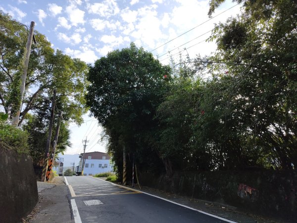 2024.01.07 橫山三叉埤、墩子銃古道2843804