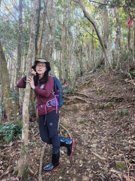 高島縱走202502152713760