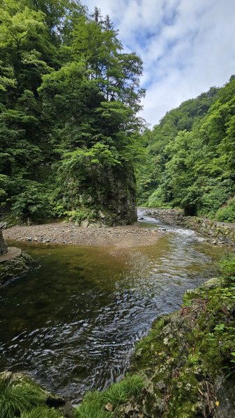 240814-白神山地世界自然遺產地域。美美兔不能錯過的日本東北健行路線。2603905