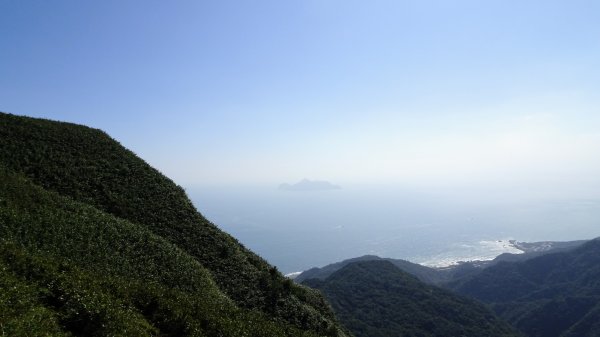 灣坑頭山，大里上大溪下1993803