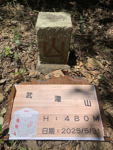 20250531屏東武潭山2803197