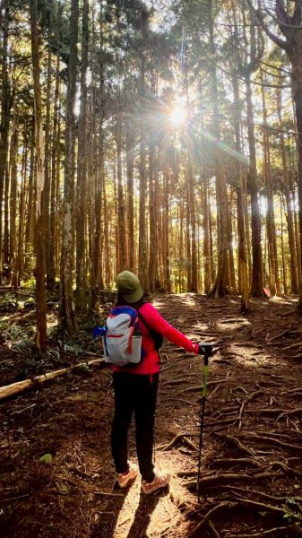 🌈11/9(日)高島縱走~高台山連走島田山山徑✨FB：熊熊趴爬走🌈2932504