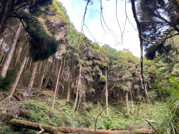 1131215大塔山步道2669074