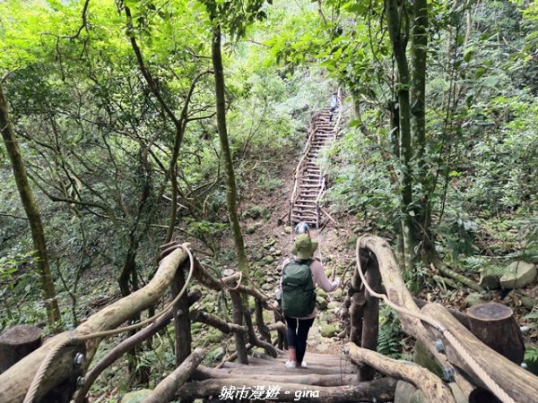 【台中北屯】大坑1號步道3095058