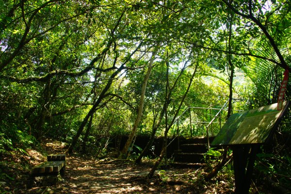 牡丹、燦光寮古道、九份1095927