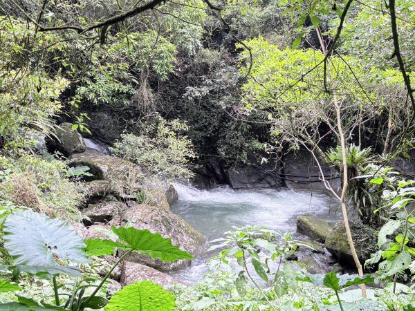 馬胎古道、南坪古道3080419