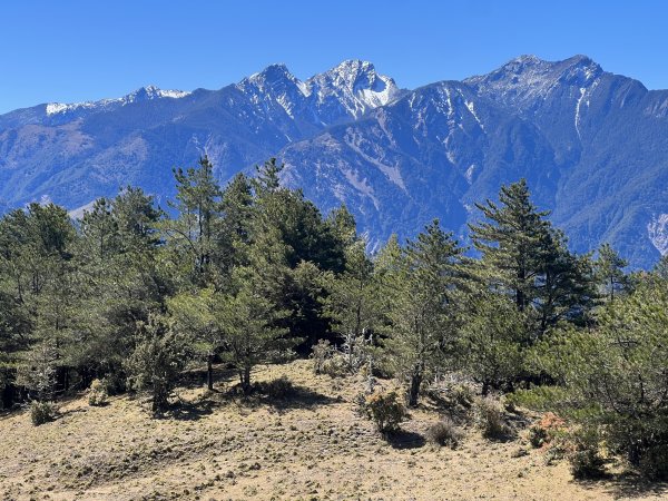 【駒盆西稜上馬博下嘆息灣D2】駒盆谷、積雪馬博拉斯山2443710