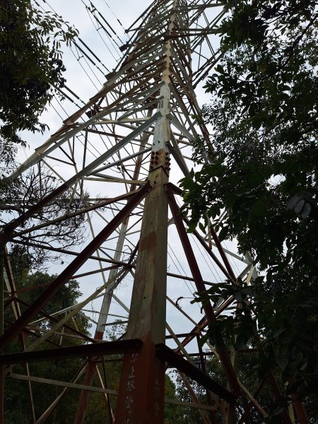 飛龍步道(崇聖亭起登)202401222696339