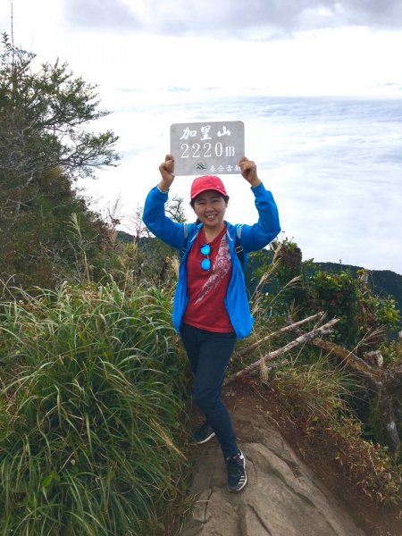 加里山登山步道之旅719227