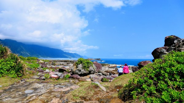 洄瀾東海岸3006667