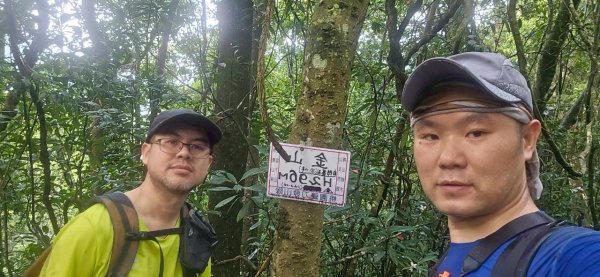 20260417白石下山-金山西峰-蕩跋山-劉家界山-老社寮山-新富山O行3041745