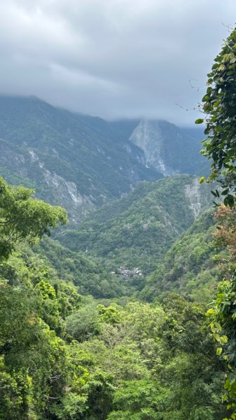 秀林天祥合流綠水文山步道2140208