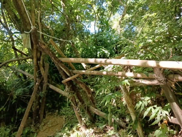 雙溪區內盤山坑古道+石硿子越嶺古道+盤山坑古道+過火坪古道O型2914364