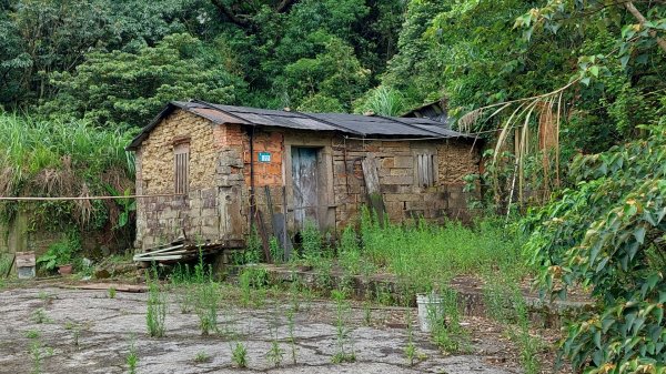石碇 O 型縱走大崙古道・崩山大崙・華梵大學・熱腸古道・磨石坑山2803271