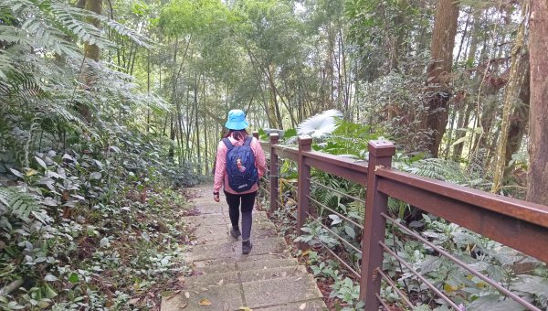 (姨婆趴趴走)第三十集:嘉義梅山太平雲梯、太平老街、太興岩茶園步道、龍王金殿2335389