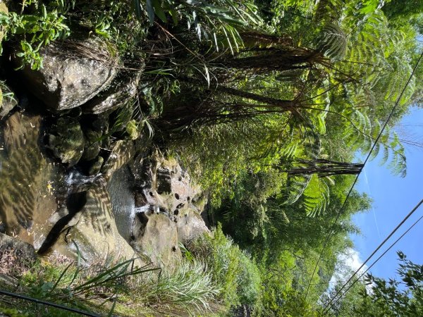 20230705_平溪薯榔尖、國旗嶺步道2762600