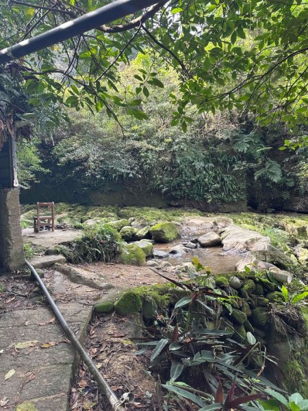 250307台北大縱走第七段2729353