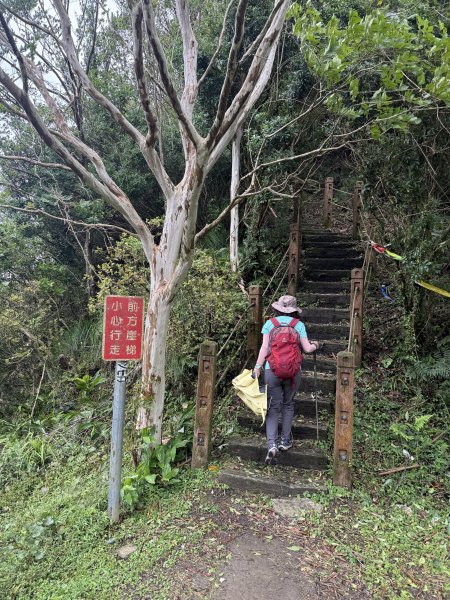 獅仔頭山 2025.07.202864268