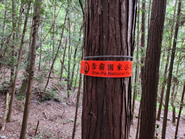 【百岳】志佳陽大山2779732