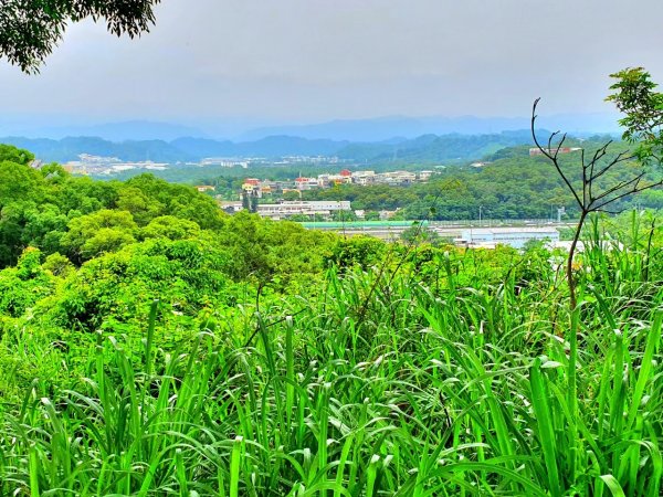 台中梨山，天池，福壽山農場，大肚萬里長城登山步道，苗栗劍潭古道，口山步道，獅頭山，獅山古道1900870