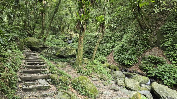 20260508 小百岳-宜蘭礁溪三角崙山(抹茶山)3050496