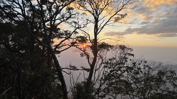 東卯山頂野營體驗 夕陽 星空 日出一次滿足1855350