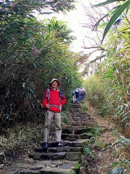 【臺北大縱走 3】小油坑→七星山主峰、東峰→冷水坑→冷擎步道→菁山吊橋→雞心崙→折返至冷水坑2093642