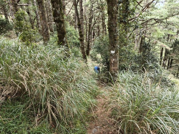 北一段(04/14)中央尖山 2025_0906~132885406