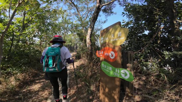 高雄 大社觀音山2960471