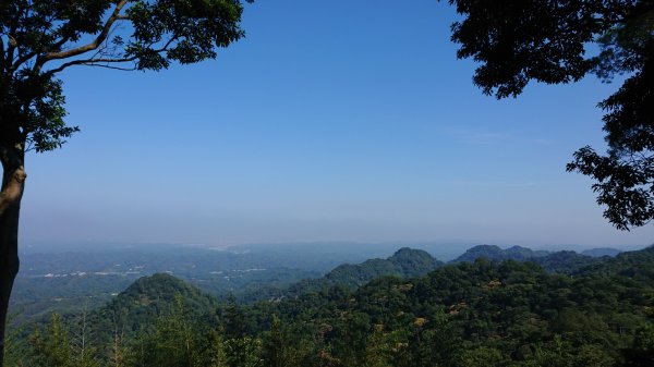 鳴鳳古道群連走1117911