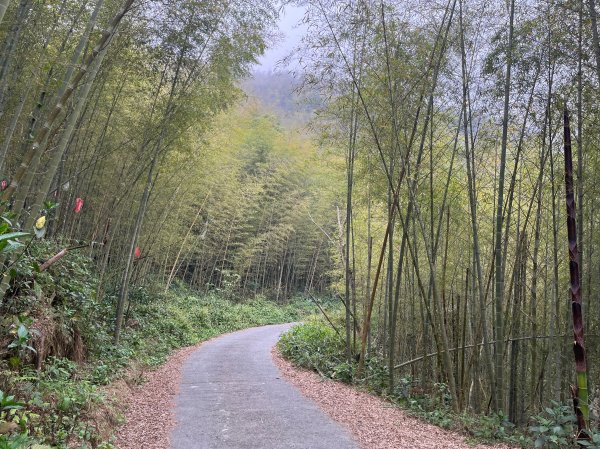 2023_0429_挑筍古道2138251