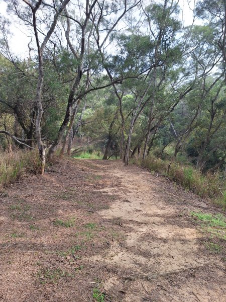 頭份鹿廚坑健行步道2734331