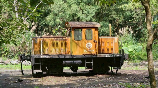 20260308內灣三山(內灣山-麥樹仁山南峰-麥樹仁山-舊砲台山-加那排山-白石湖山)3013424