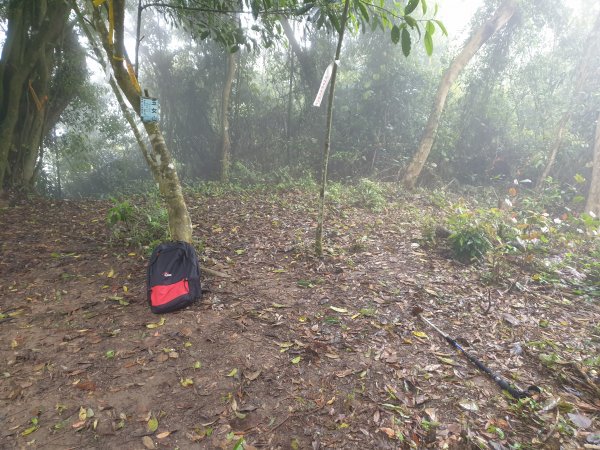 人生之中有點可怕的登山行程......玉女山、金童山及汶水山1552815