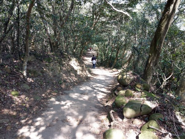 新竹飛鳳山(中坑山)小百岳880182