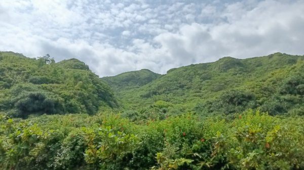 基隆市中山峽谷森林古道-外木山國旗嶺-大武崙山稜O型3117312