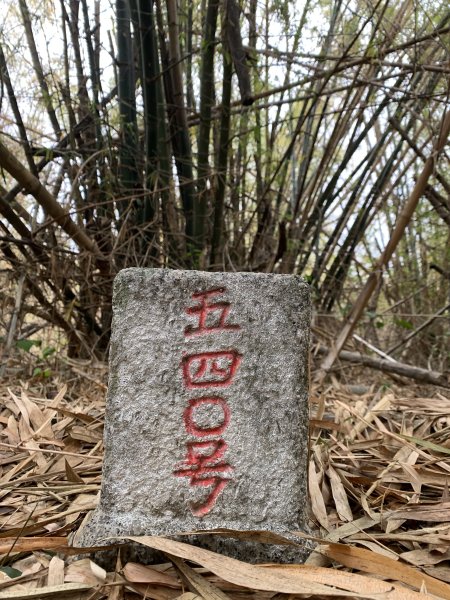 20240309高雄大坪山2451801