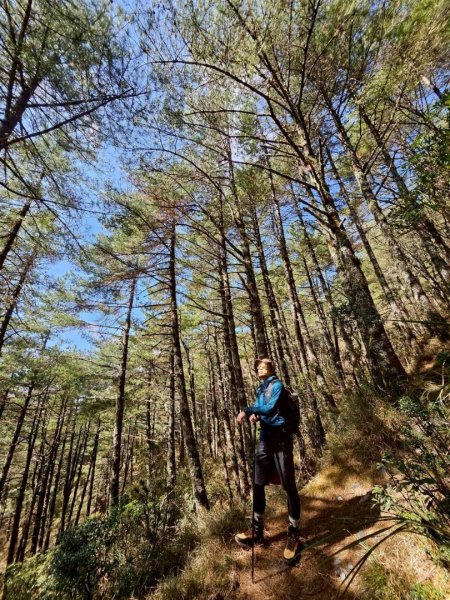 20260320四個毆鷄桑🦸‍♀️南橫溪頭山O繞關山嶺山3022689