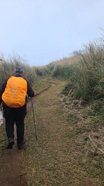 2026-0116 大屯三山_貴子坑_北投2984724