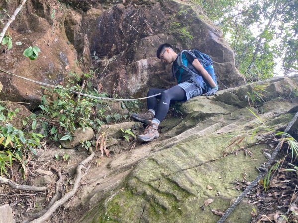 大橫屏山.禪機山仙佛寺【帶刺的外表 溫柔的內在】1527981