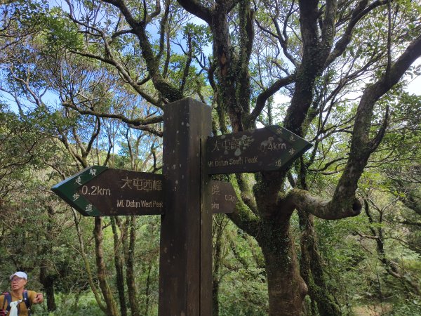 [百山百鳥尋旅-11/15] 2025_0927 大屯主峰-連峰步道_大屯山南峰2899417