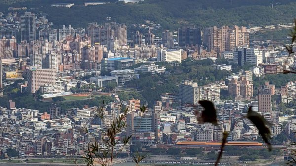硬漢嶺步道(觀音山)2935151
