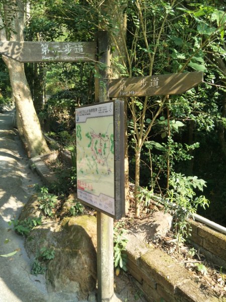 聚興山、新田登山步道1912248