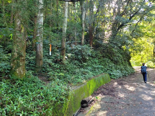 《貴妃那鳥包》O型縱走(貴妃山、那結山、外鳥嘴山、蓮包山)1853942