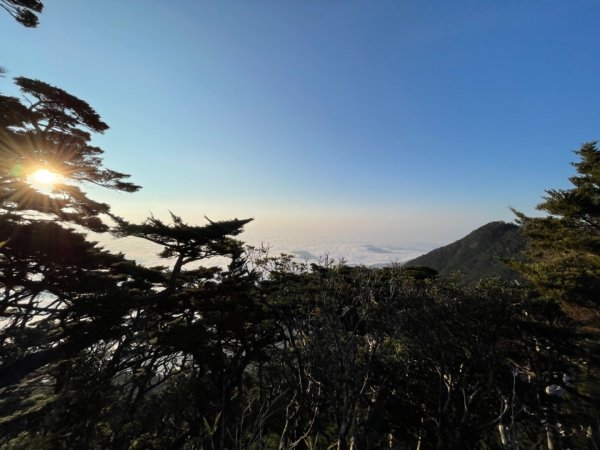 見證最美麗北大武山雲海、鐵杉1318815