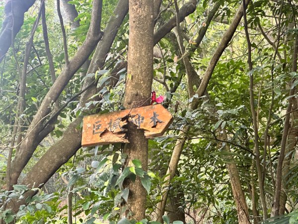 新竹新埔-蓮華山古道2628606