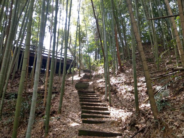 石壁山(小百岳#55)及嘉南雲峰。穿越武俠電影場景之孟宗竹林區1363341