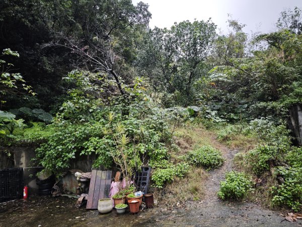 2026_0131 獅球嶺中央砲台2997606