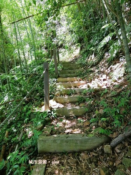 南投魚池~汗流浹背的陡峭階梯~後尖山步道1058401