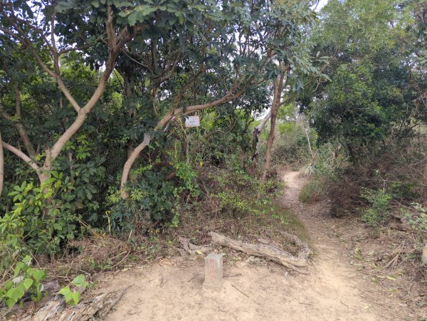 2026.02.08－十八尖山2999394